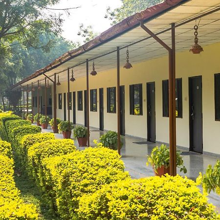Narmada Hills Resort Godarpura Zewnętrze zdjęcie